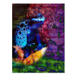 LITTLE FROGGY BLUE POSTCARDS
