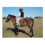little gaucho postcards r62ac8408d51f47d0b4c7ee91969237e3 vgbaq 8byvr 150 Argentina 