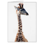 "Little Giraffe" Wildlife Animal Watercolor Card