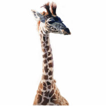 "Little Giraffe" Wildlife Animal Watercolor photo sculptures