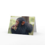 Little Girl cards