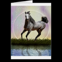 Little girls dream cards