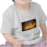 little goose one has guitar t-shirts