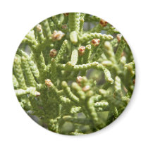 Little green fingers magnets