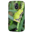 Little Green Frog Galaxy Nexus Cover