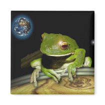 LITTLE GREEN FROG magnets