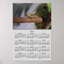 Little Green Grasshopper 2012 Calendar Photo Poster
