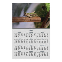 Little Green Grasshopper 2012 Calendar Poster
