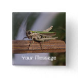 Little Green Grasshopper Badge Name Tag