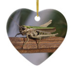 Little Green Grasshopper Birthday Christmas Heart