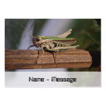 Little Green Grasshopper Bookmark