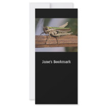 Little Green Grasshopper Bookmark Promotional Card