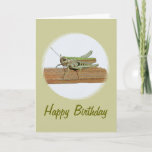 Little Green Grasshopper Cartoon Birthday