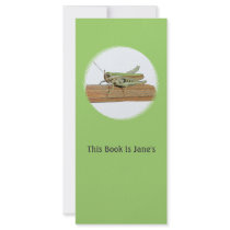 Little Green Grasshopper Cartoon Full Color Rack Card