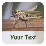 Little Green Grasshopper Name Gift Tag Bookplate