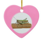 Little Green Grasshopper Romantic Pink Heart