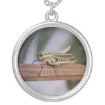 Little Green Grasshopper Sterling Silver Jewelry