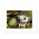 Little hedgehog guarding his mushroom print