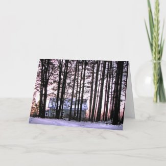 Little house in the woods greeting card