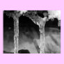 Little icicles