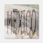 Little Iguana on the Rocks; Mexico Souvenir Refrigerator Magnet