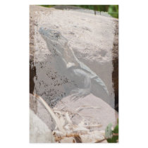 Little Iguana on the Rocks; No Text Custom Stationery