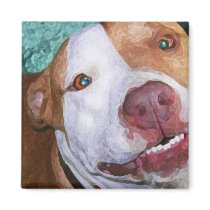 Little Johnny Sparkles magnets