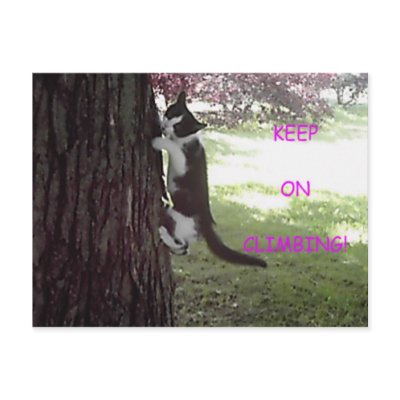 Little Kitten Big Tree Postcard by darthdialup