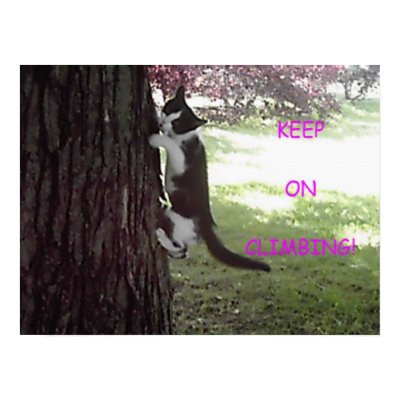 Little Kitten Big Tree Poster by darthdialup