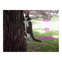 Little Kitten Big Tree Poster posters by darthdialup Little Kitten Big Tree Poster posters
