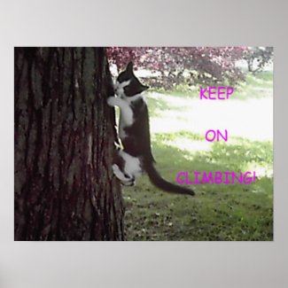 Little Kitten Big Tree Poster print