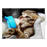 Little Kitten Sucking on a Baby Bottle Card