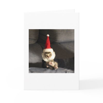 Little Kittie Cards
