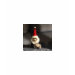Ladies Baby Doll (Fitted)