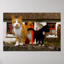 Little kitties-4 posters