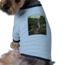 Little Kohlbach, Riesen waterfall, Austro-Hungary Dog Clothing