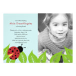 Little Ladybug Birthday Party Photo Invitation invitations