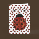 Little Ladybug Card cards