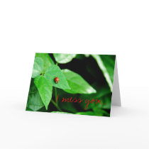 Little Ladybug, I miss you... cards