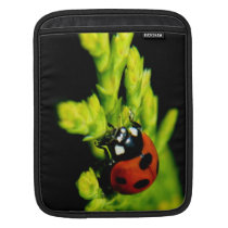 Little Ladybug ipad sleeves