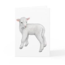 Little Lamb Greeting Card