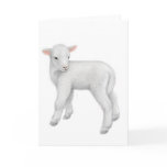 Little Lamb Greeting Card