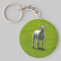 Little Lamb keychains