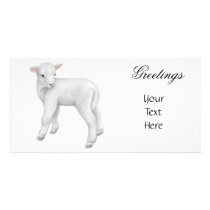 Little Lamb Photo Card