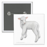 Little Lamb Pin