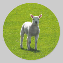 Little Lamb stickers