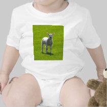 Little Lamb t-shirts