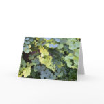 Little Leaves Greeting Cards