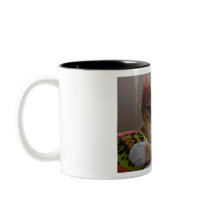 Little Leo mugs by megnok Little Leo mugs