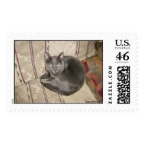 Little Leo Postage Stamps